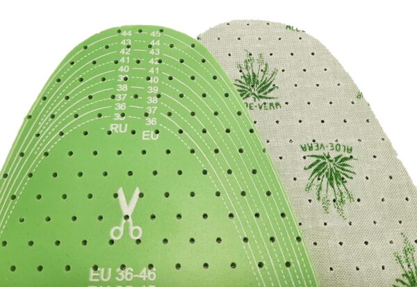Aloe Vera - Image 2