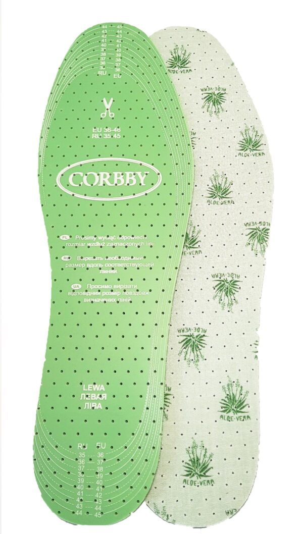 Aloe Vera - Image 4