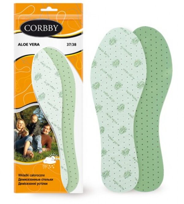 Aloe Vera - Image 5